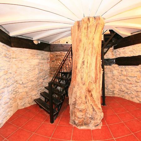 Castelul Lupilor Otel Chimindia Dış mekan fotoğraf