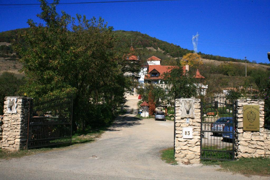 Castelul Lupilor Otel Chimindia Dış mekan fotoğraf