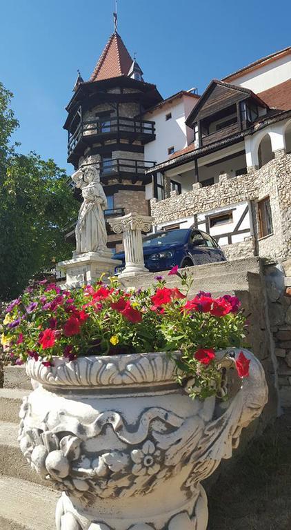 Castelul Lupilor Otel Chimindia Dış mekan fotoğraf